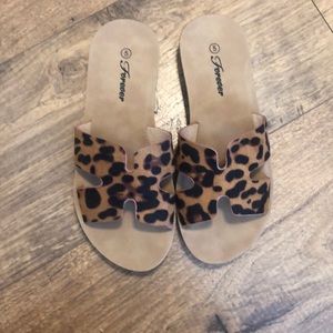 Cheetah slides